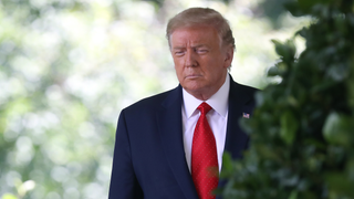 Donald Trump Very Proud That He 'Aced' a Cognitive Test That Likely Asked Him to Identify a Drawing of a Lion